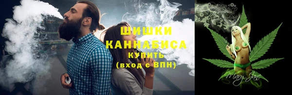 ГАЛЛЮЦИНОГЕННЫЕ ГРИБЫ Абаза