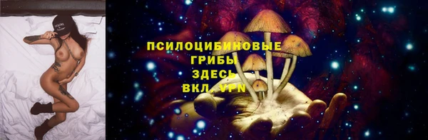 ГАЛЛЮЦИНОГЕННЫЕ ГРИБЫ Абаза