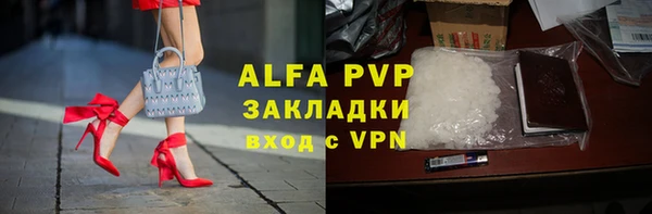СК Абинск