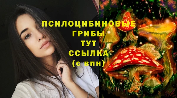 ГАЛЛЮЦИНОГЕННЫЕ ГРИБЫ Абаза