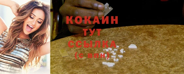 ГАЛЛЮЦИНОГЕННЫЕ ГРИБЫ Абаза