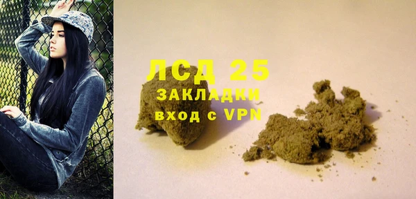 ГАЛЛЮЦИНОГЕННЫЕ ГРИБЫ Абаза