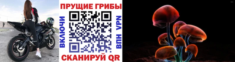 мега ONION  Новокузнецк  Псилоцибиновые грибы прущие грибы 