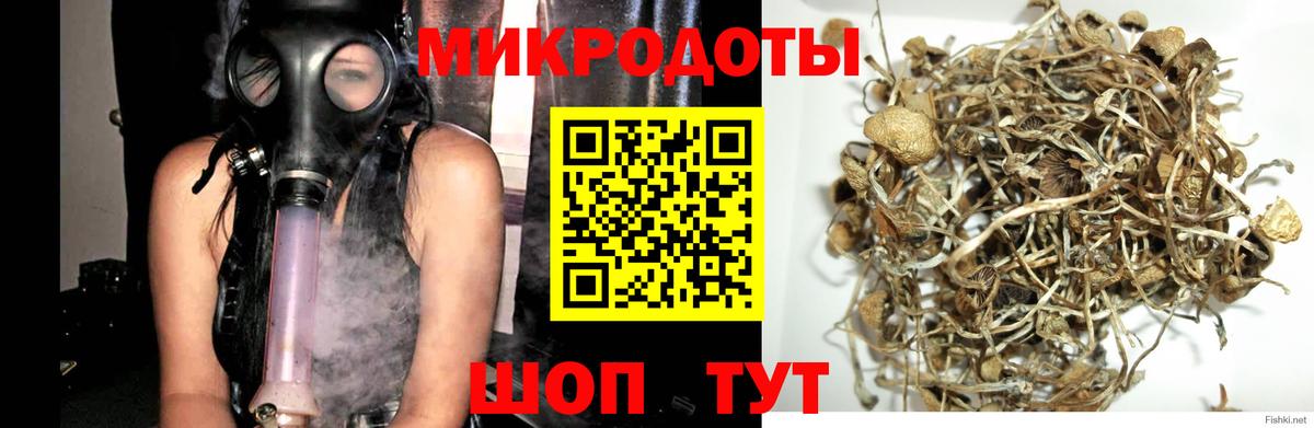 Псилоцибиновые грибы MAGIC MUSHROOMS Новокузнецк